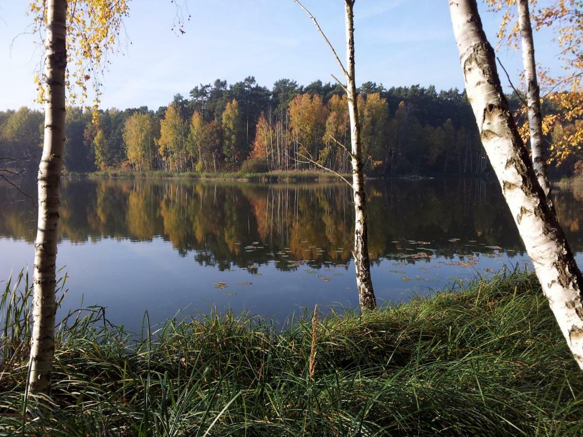 Seeblick III Bad Saarow Exteriör bild