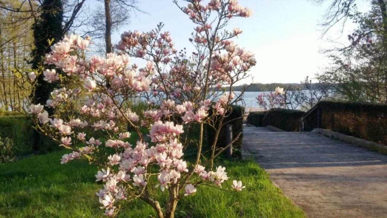 Seeblick III Bad Saarow Exteriör bild